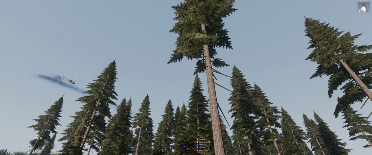 12/10/19 forest carnage CAS